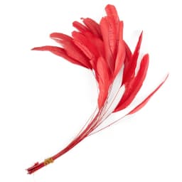 10pcs Natural Rooster Feathers Wedding Crafts DIY Colorful Feather Handwork Party Plume Carnival Headwear Decoration Accessories