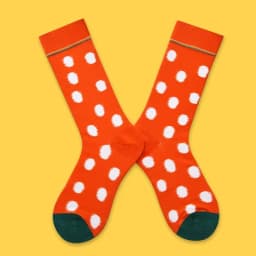 1 Pair Canvas Lattice Plant Art Funny Socks Women Novelty Abstract Cute Socks Women Jacquard Crew Female Calcetines Divertidos