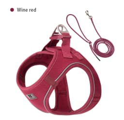 SMALL COMBINATION Small Dog Harness Leash Set Soft Reflective for Puppy Cat Harness Pet Vest Chihuaahua Sausage Outdoor Walking