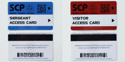 High Quantity Text Clear Letters Printed PVC SCP Hard Card Patches,top Hardboard,hardcard 8.5*5.5CM WF23461