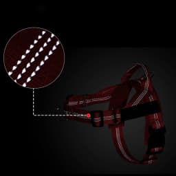 Personalized Reflective No Pull Harness for Small Medium Dog Washable Explosion-proof Comfort Dog Harnesses Pechera Para Perro