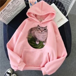 Cute Watermelon Cat Silly Cat Meme Printed Hoodies 90s Casual Sweatshirts Graphic Y2k Hooded Women's Gothic Streetwear Clothes