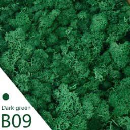 40g Simulation Artificial Moss Green Eternal Life Moss Grass Fake Plant For Home Wall Decor Garden Micro Landscape Material Gift