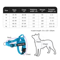 Custom Name No Pull Dog Harness Elastic Buffer Leash Set Adjustable Reflective Nylon Walking Lead for Small Medium Large Dogs