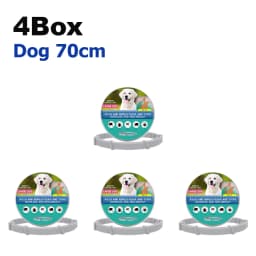 Flea Collar 8 Months Protection Pet Anti Flea Tick Neck Collar Natural Flea and Tick Prevention Collar for Dogs and Cats