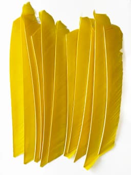 100PCS 18-25CM Full Length Turkey Arrow Feathers DIY Hunting Bow Arrow Accessories Archery Fletching Right Wing Vanes