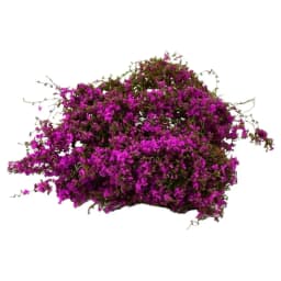 Miniature Climbing Vine Model, Artificial Leaves for Diorama, DIY Railway Scenery, Fake Foliage Plants for Architectural Model