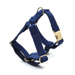 Personalized Dog Harness Collar Name Customized Velvet Collar Bow Leash for Small Medium Large Dogs Poop Bag Dispenser Pouch