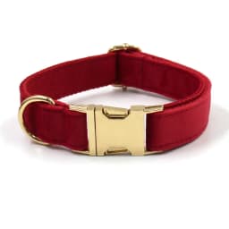 Personalized Dog Harness Collar Name Customized Velvet Collar Bow Leash for Small Medium Large Dogs Poop Bag Dispenser Pouch