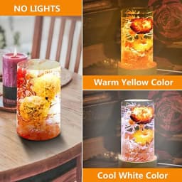 6/8/10CM LED Night Light with Wood Base DIY Resin Wine Bottle Decor Table Lamp Glass 3D Decorative Ball Acrylic Decoration