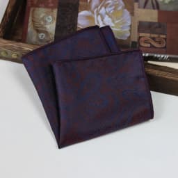 24cm Elegant Brown Pocket Square Mens Polyester Block Paisley Soft Handkerchief Wedding Party Suit Accessories Cravat Neckwear