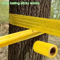 Yellow Insect Barrier Tape for Trees – Strong Adhesive, Double-Sided Protection Against Moths, Ants & Crawling Insects
