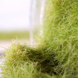 30G/bag 5-8mm Static Grass Tree Powder Flocking Foliage HO OO N Z Scale Railway Train Landscape Military Scene Garden Decoration