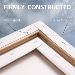 Marie's 3 Pack Stretched Canvas with 6x6", 8x8", 12x12", 12x16" and 16x20", 100% Cotton Primed White Rectangular Wooden Framed