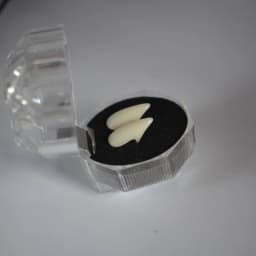 halloween party Fangs Decoration DIY Halloween Resin vampire teeth Props Horror 5g glue friends gifts Cosplay witch false fangs