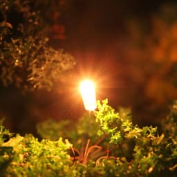 Evemodel 100pcs 2.5mm 3mm 4mm 5mm Clear Mini Bulbs Grain of Wheat Bulbs Incandescent Filament Lights 1.5V 3V 6V 12V