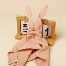 Baby Rabbit Square Comforter Towel Elegant Bow Decor Rabbit Square Blanket For Kids Cute Embroidery Infant Saliva Towel