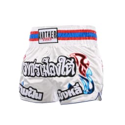 Boxing Fight Shorts for Men Women, Patchwork Color Slim Cut MMA Muay Thai Shorts Man, Kickboxing Clothing Martial Arts Trunks