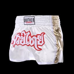Boxing Fight Shorts for Men Women, Patchwork Color Slim Cut MMA Muay Thai Shorts Man, Kickboxing Clothing Martial Arts Trunks