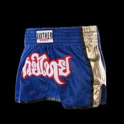 Boxing Fight Shorts for Men Women, Patchwork Color Slim Cut MMA Muay Thai Shorts Man, Kickboxing Clothing Martial Arts Trunks