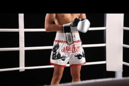 Boxing Fight Shorts for Men Women, Patchwork Color Slim Cut MMA Muay Thai Shorts Man, Kickboxing Clothing Martial Arts Trunks