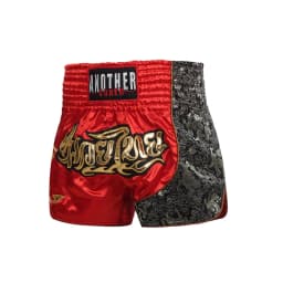 Boxing Fight Shorts for Men Women, Patchwork Color Slim Cut MMA Muay Thai Shorts Man, Kickboxing Clothing Martial Arts Trunks