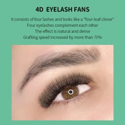 GLAMLASH 4D W Shape Eyelash Extensions Premade Volume Fan Lashes 5D W Style Lashes Comfortable Faux Mink Volume Natural Eyelash