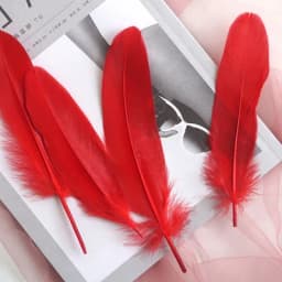50pcs Natural Goose Feathers Plumes 15-20cm White Feather Plume for Home Decoration Craft DIY Party Jewelry Decoration
