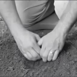 Digging Gloves, Gardening, Dipping, Labor , Claws, Vegetable Flower Planting And Grass Pull