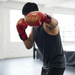 1Pair Boxing Gloves Breathable Kickboxing Gloves Comfortable Professional Boxing Gloves Punching Training Gloves for all