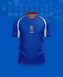 Men's Football T-shirt Japanese Animation T-shirt Inama Eleven Joint Short-sleeved Summer Comfortable Sports Children's T-shirt