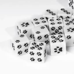 10 Pcs/lot Bear's Paw Pattern Puzzle Game 6 Sided Dice Game Accessory 15.8mm