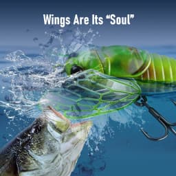 Kingdom Cicada Bionic Fishing Lure 21mm 27mm 1.6g 2.4g Floating Artificial Hard Crankbaits Bass Trout Pike Topwater Fishing