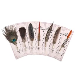 1 Set English Calligraphy Feather Dip Pen Writing Stationery Set Gift Box with 5 Nib Wedding Gift Quill Pen Fountain Pen