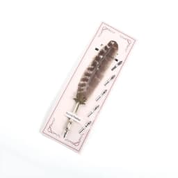 1 Set English Calligraphy Feather Dip Pen Writing Stationery Set Gift Box with 5 Nib Wedding Gift Quill Pen Fountain Pen