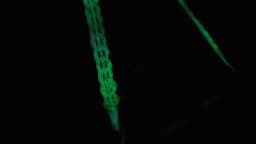 600pcs Glow in the Dark Loom Band Kit Colorful DIY Bracelet Making Set with Beads & Accessories - Perfect for Friendship Crafts