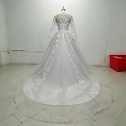 Long Sleeve Illusion V Neck Lace Wedding Dress Appliques Sheer Back Ball Gown Tulle Bridal Dress With Chapel Train Wedding Party