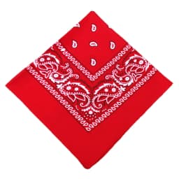 Fashion Bandana Kerchief Head Square Scarves Print Handkerchief Woman Man Hair Band Neck Scarf Sports Headwear Wrap Head Scarf