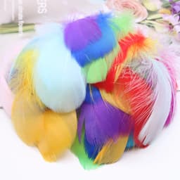 100pcs Goose Feathers for Crafts 4-8cm 6-12cm Swan Plumes Wedding Party Handicraft Accessories Decoration Dream Catcher Feathers