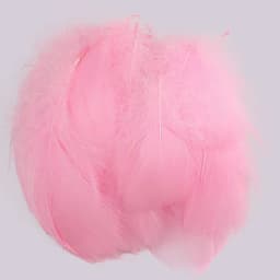 100pcs Goose Feathers for Crafts 4-8cm 6-12cm Swan Plumes Wedding Party Handicraft Accessories Decoration Dream Catcher Feathers