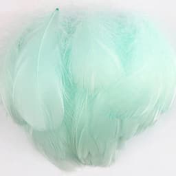 100pcs Goose Feathers for Crafts 4-8cm 6-12cm Swan Plumes Wedding Party Handicraft Accessories Decoration Dream Catcher Feathers