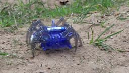 Hot Sale New Electric Robot Spider Toy DIY Educational Stem Robotic Assembles Kits for Kids Christmas Halloween Birthday Gifts