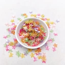 Matte White Transparent Crystal 10mm Five-finger Flower Sequins Paillettes Sewing Wedding Craft Women Garments Accessories 10g