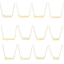Stainless Steel 12 Zodiac Constellation Necklaces Letter Aquarius Aries Gemini Pisces Leo Sagittarius Pendant Necklace for Women