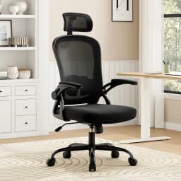 Farini Ergonomic Office Chair with Adjustable Lumbar Support & Headrest, High Back Executive Chair with Flip-Up Arms