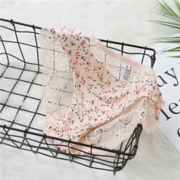Fashion Women's Sexy Lace Panties Seamless Underwear Leopard Ice Silk for Girl Bikini Cotton Crotch Transparent Lingerie