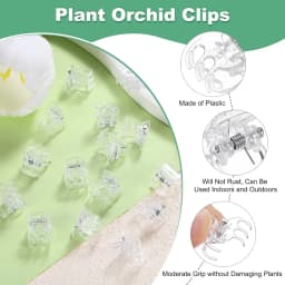 30/50/100Pcs Transparent 6 Claws Orchid Clips Plastic Butterfly Flowers Support Clear Fixer For Garden Vine Stem Plants Climbing