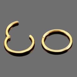 1PC Titanium Segment Nose Piercing 12G Septum Clicker Pirsing Earring 14G Nostril Piercing Helix Conch Pirsing Nariz 20G Jewelry