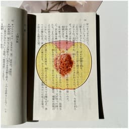 Simulation Fruit Bookmark Cute Creative Reading Bookmark Stationery For School Student Office Book Collection Birthday Gift Desk