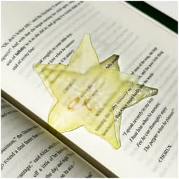 Simulation Fruit Bookmark Cute Creative Reading Bookmark Stationery For School Student Office Book Collection Birthday Gift Desk